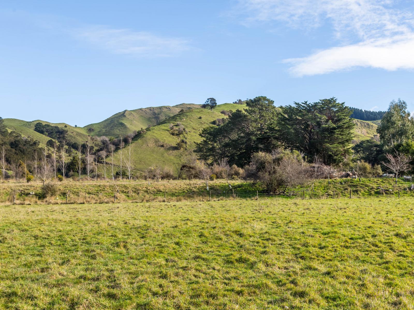 803 Norfolk Road, Carterton