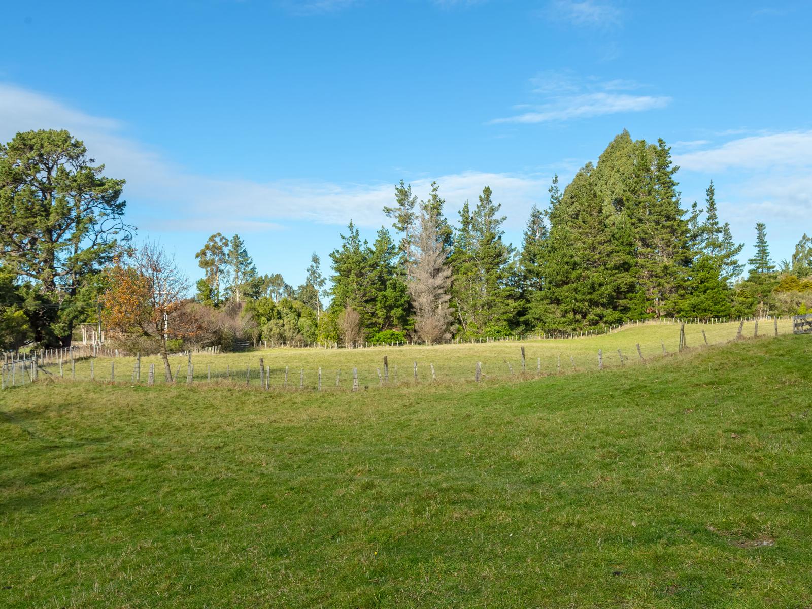 803 Norfolk Road, Carterton