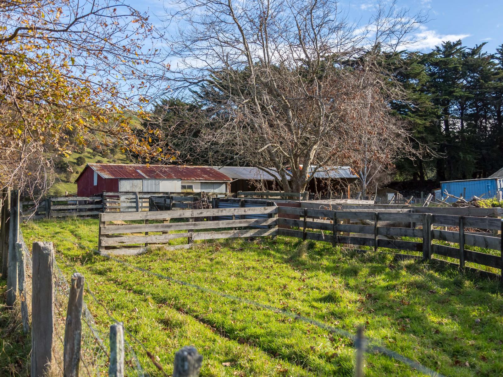 803 Norfolk Road, Carterton