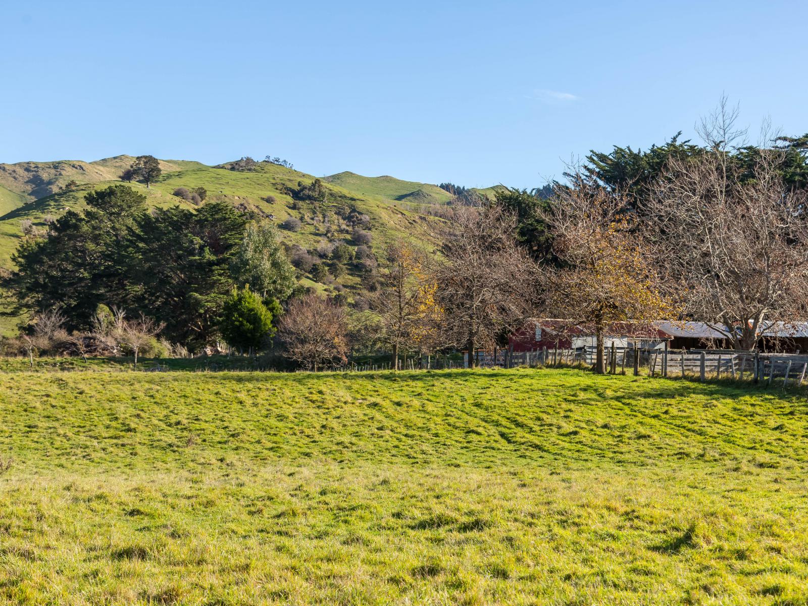 803 Norfolk Road, Carterton