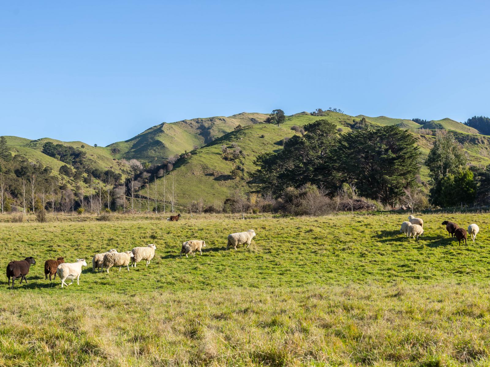 803 Norfolk Road, Carterton