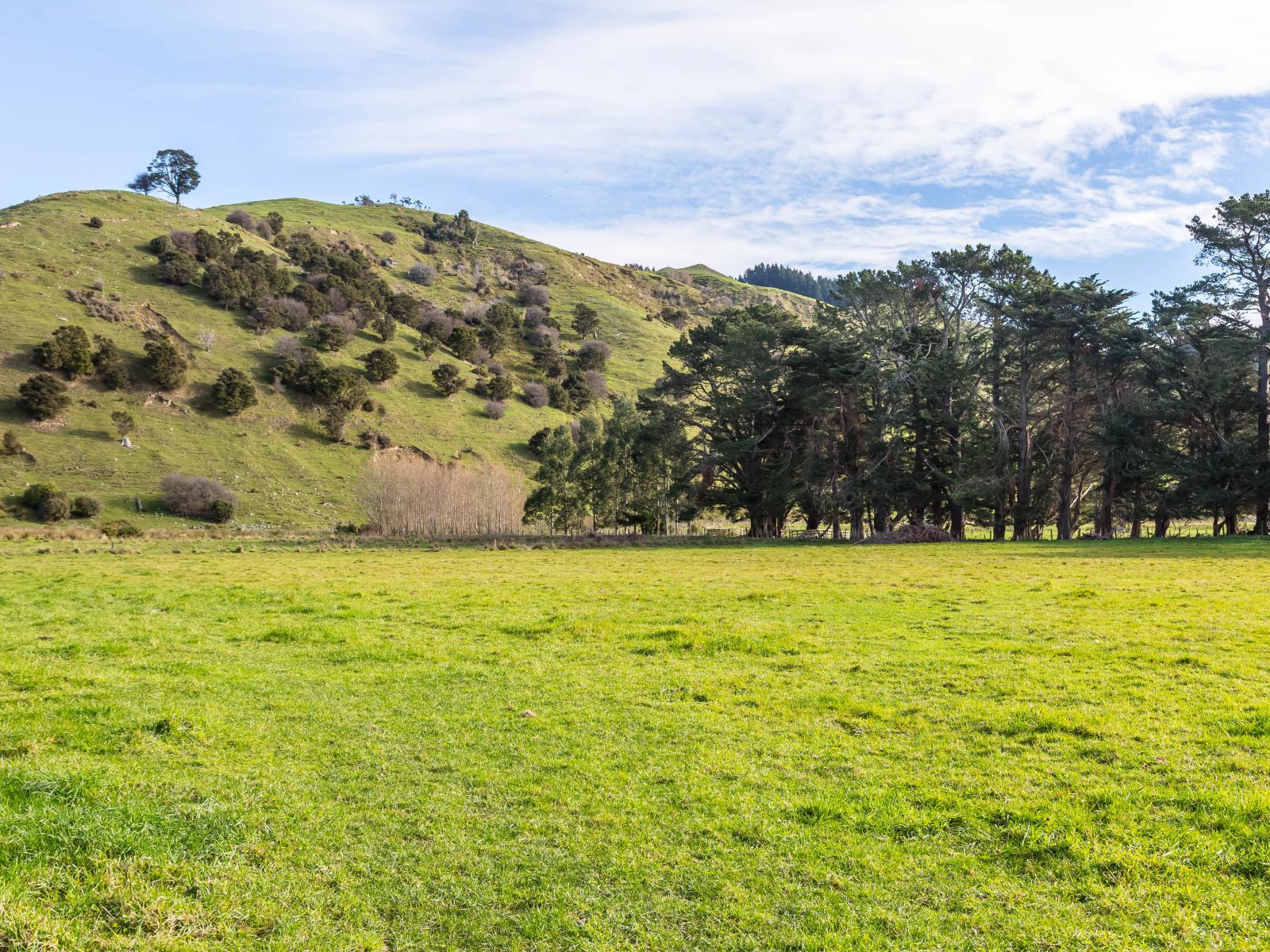 809 Norfolk Road, Carterton