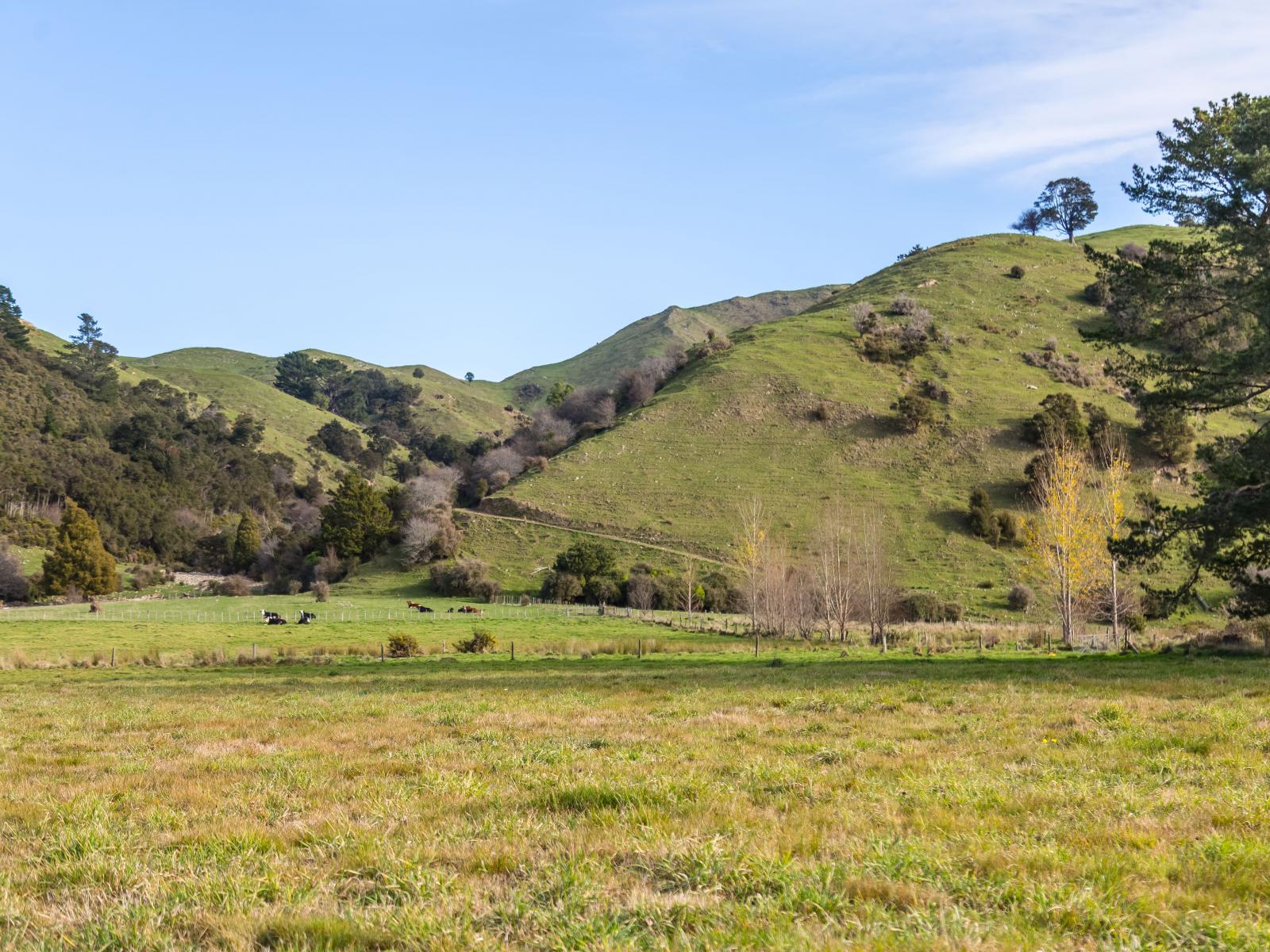 809 Norfolk Road, Carterton