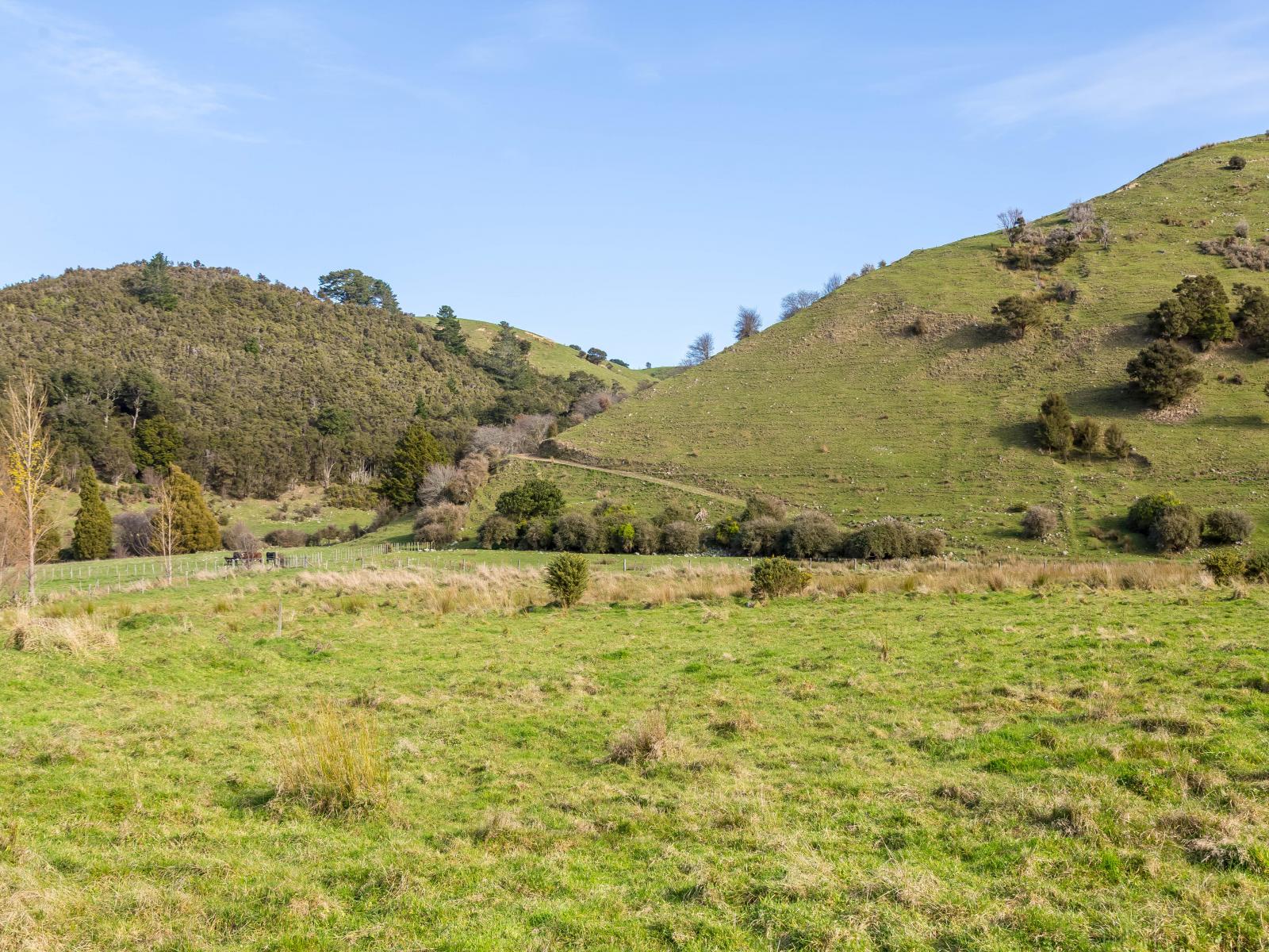 809 Norfolk Road, Carterton