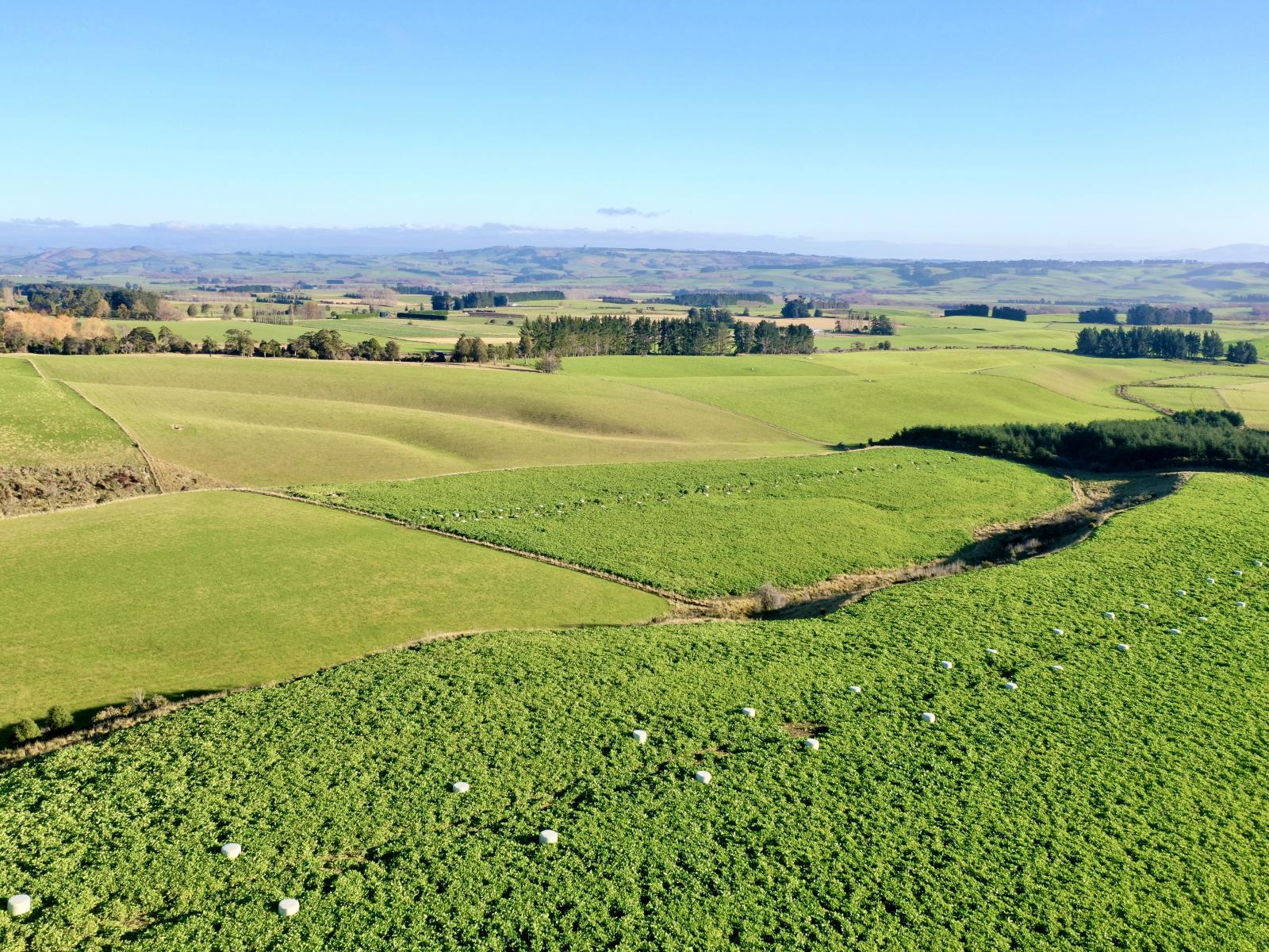 Dalvey School Road, East, Blue Mountains