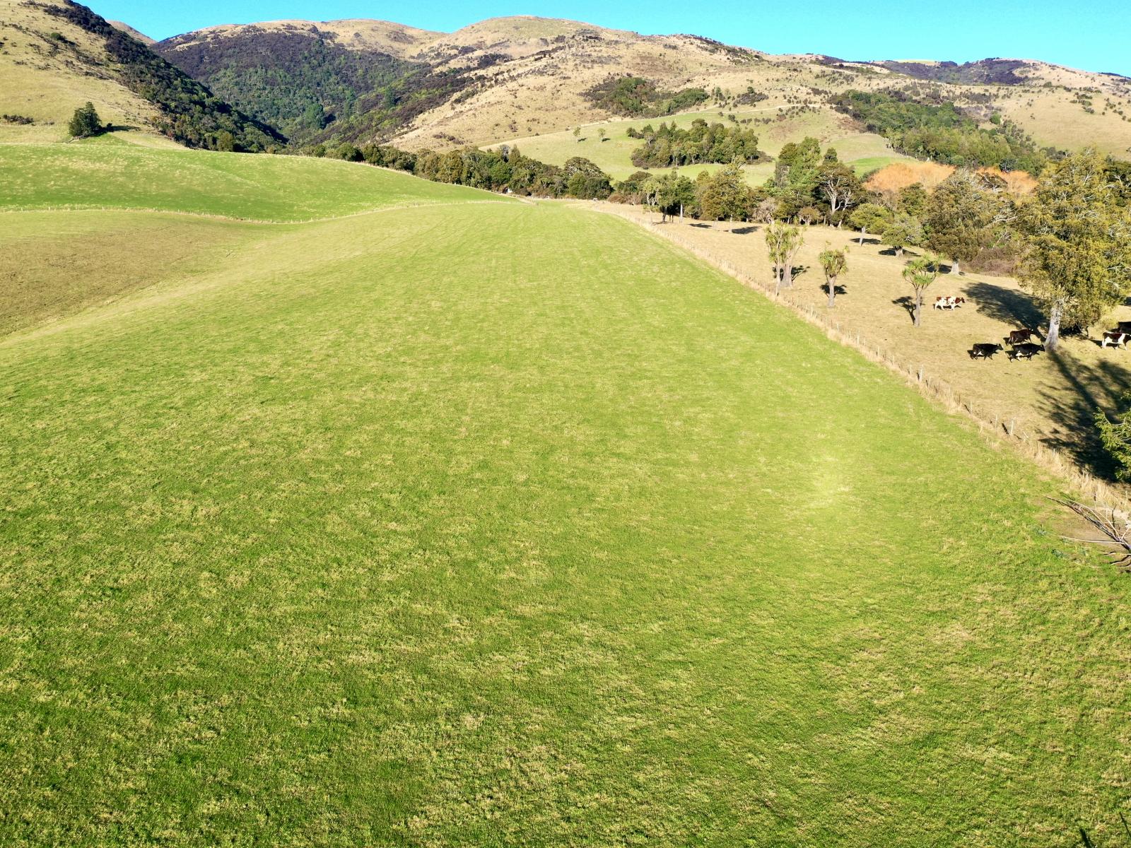 Dalvey School Road, East, Blue Mountains