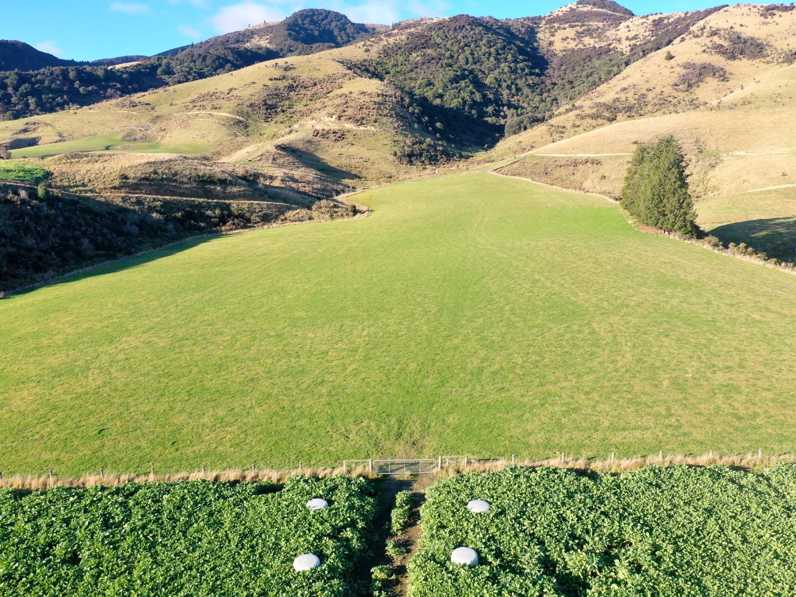 Dalvey School Road, East, Blue Mountains