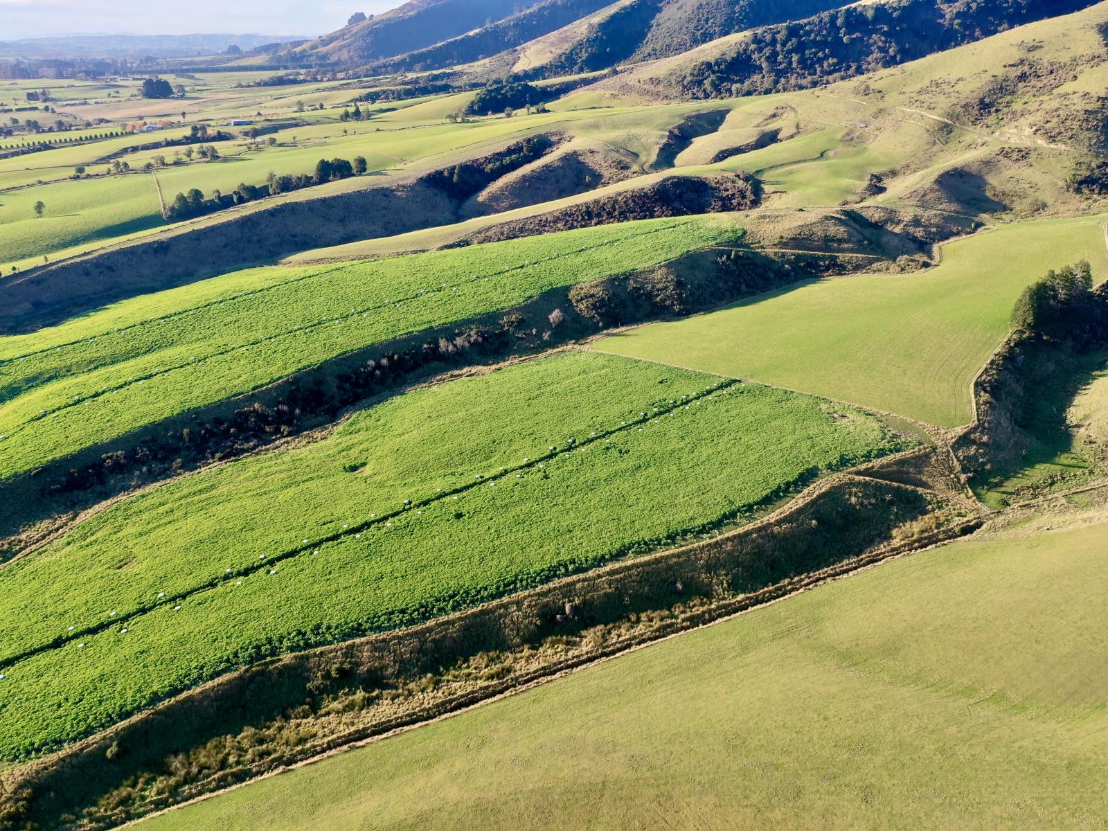Dalvey School Road, East, Blue Mountains