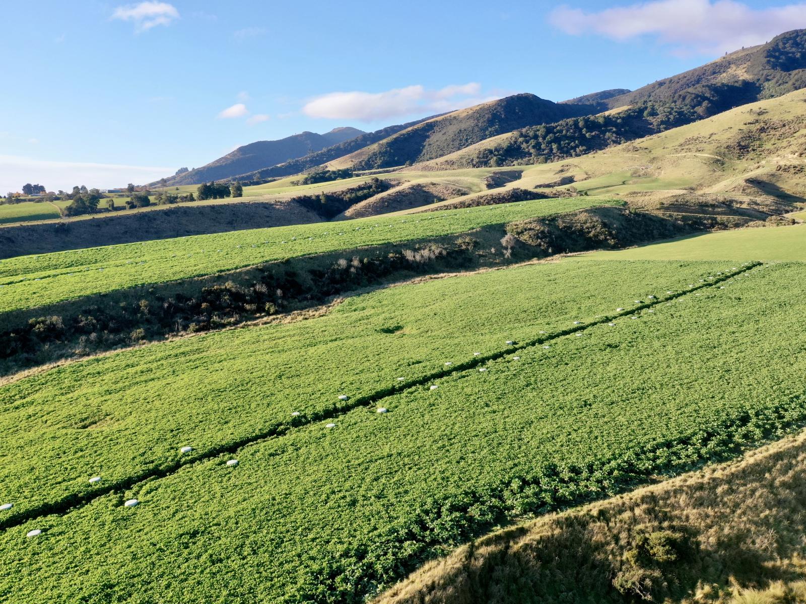 Dalvey School Road, East, Blue Mountains