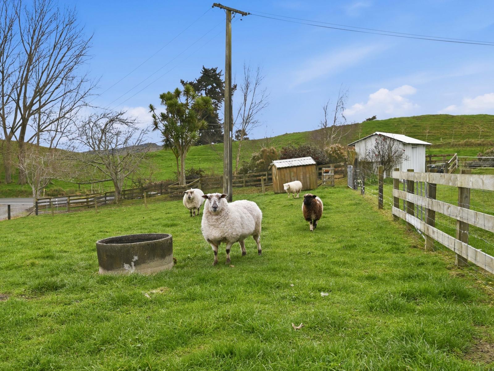 362A State Highway 38, Rerewhakaaitu