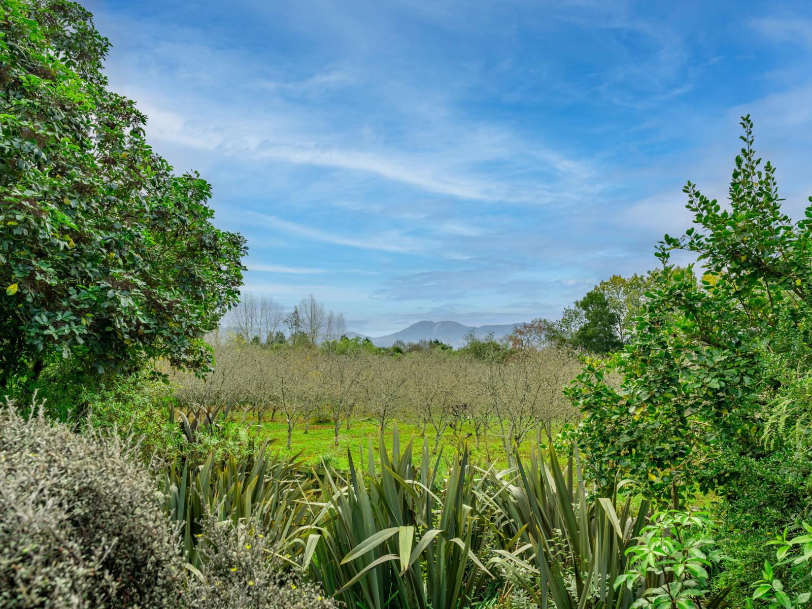 20 and 20A Kalaugher Road, Geraldine