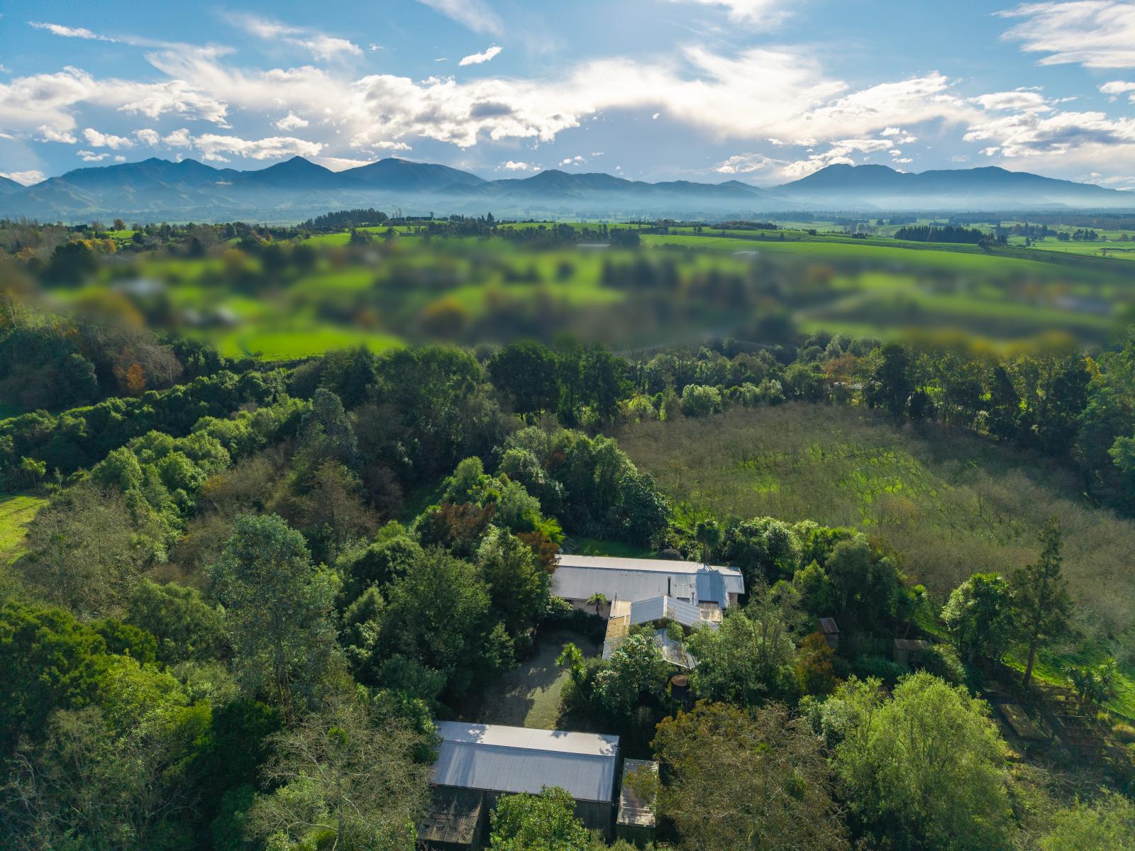 20 and 20A Kalaugher Road, Geraldine