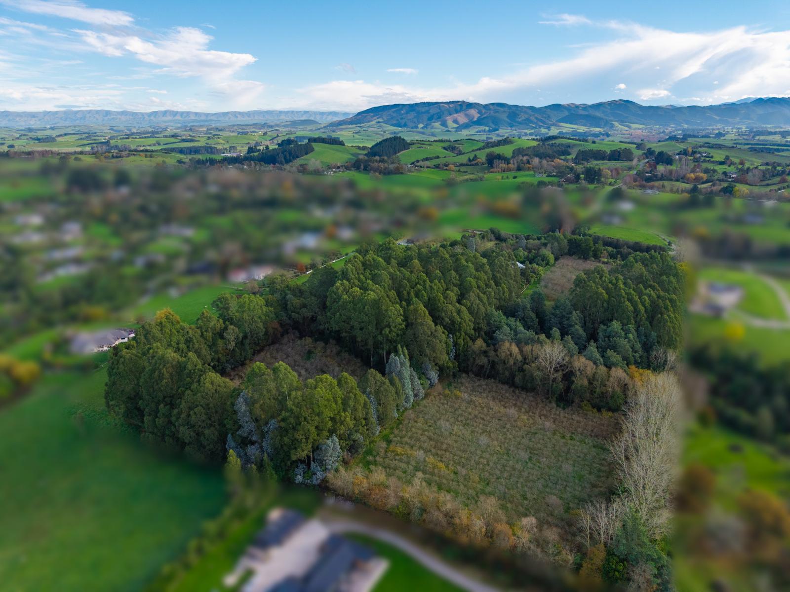 20 and 20A Kalaugher Road, Geraldine