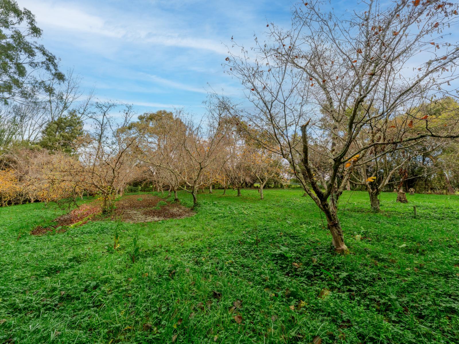 20 and 20A Kalaugher Road, Geraldine