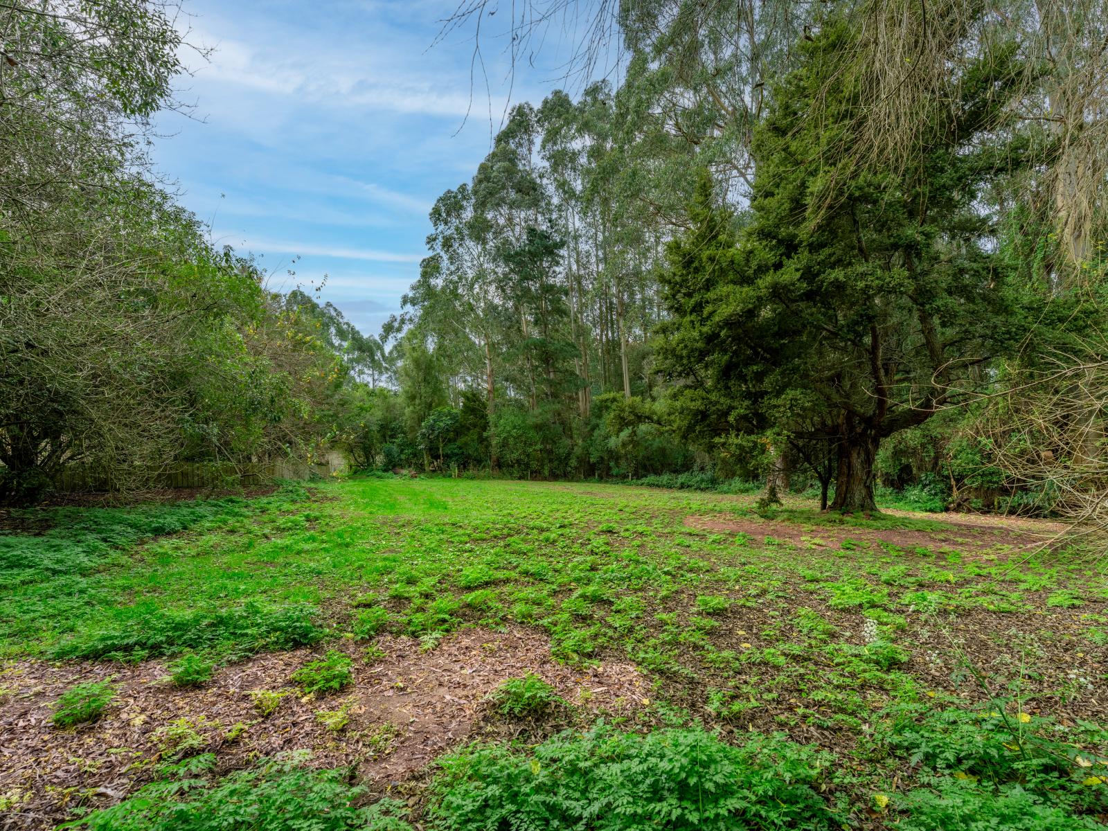 20 and 20A Kalaugher Road, Geraldine