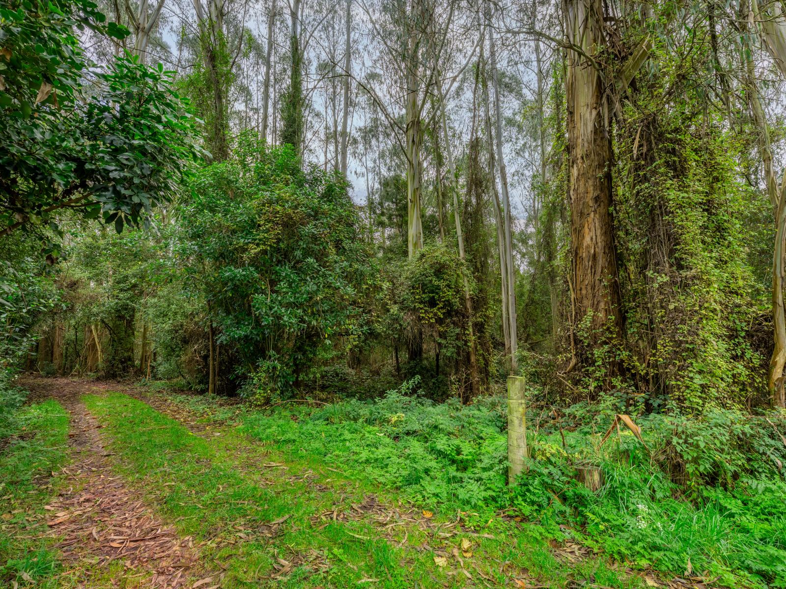 20 and 20A Kalaugher Road, Geraldine