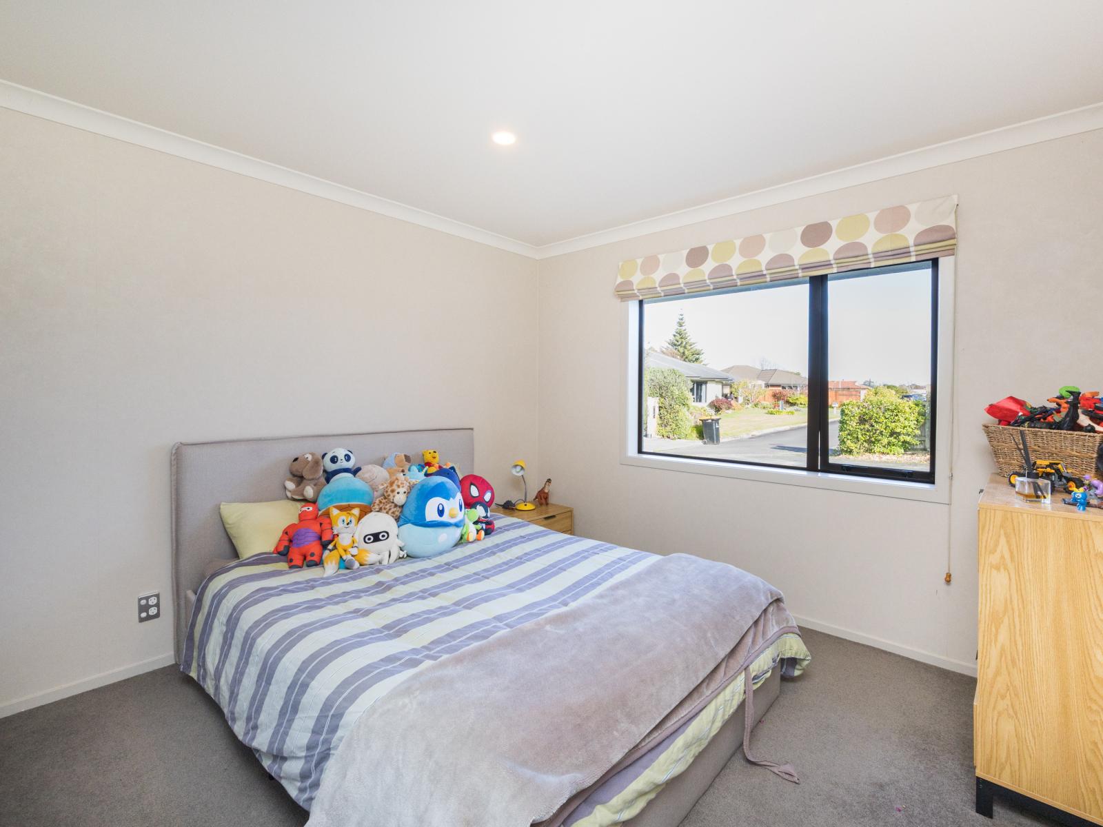 2 Mayfair Court, Feilding