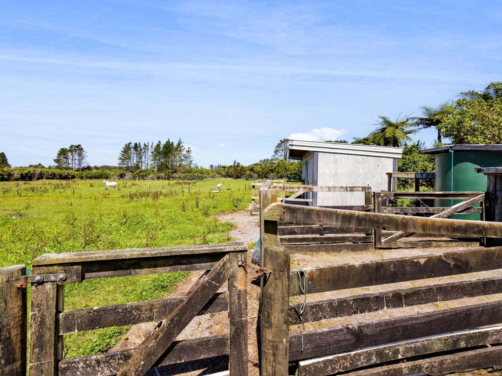 1955 Egmont Road, Kaimiro