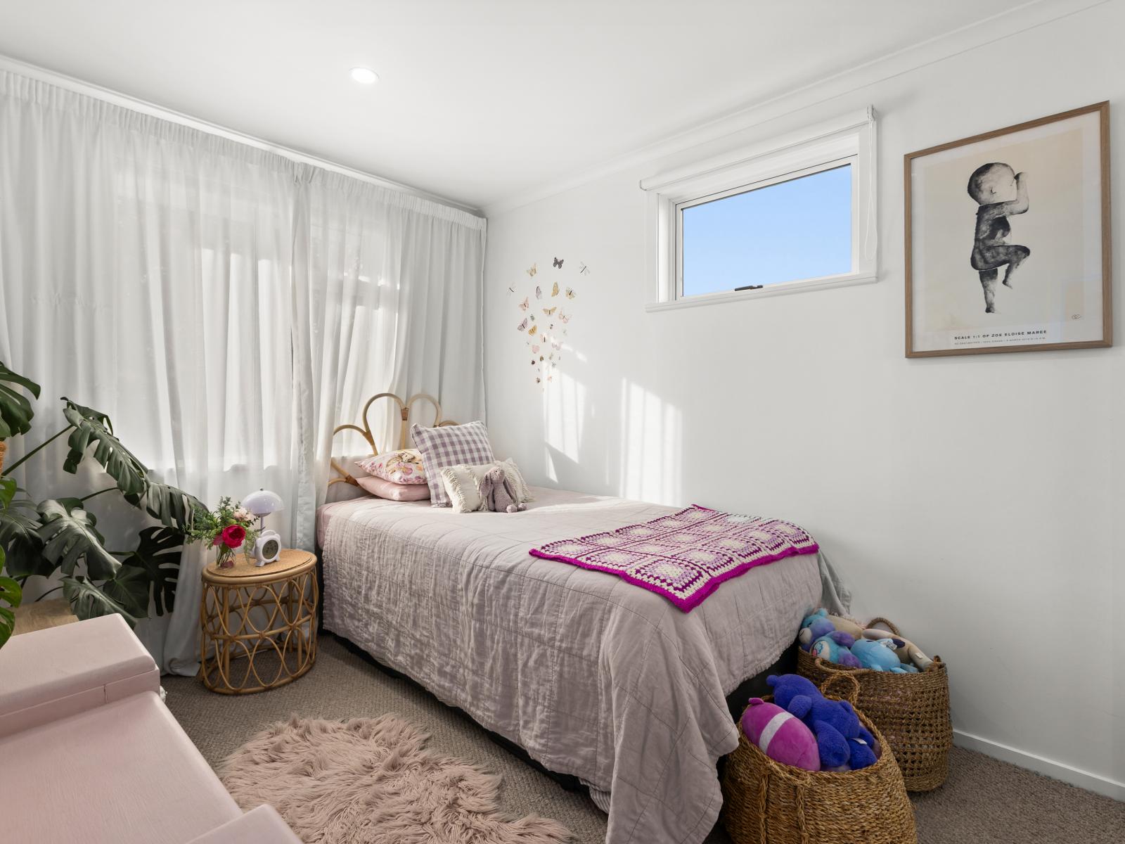 19 Frickleton Street, Taradale