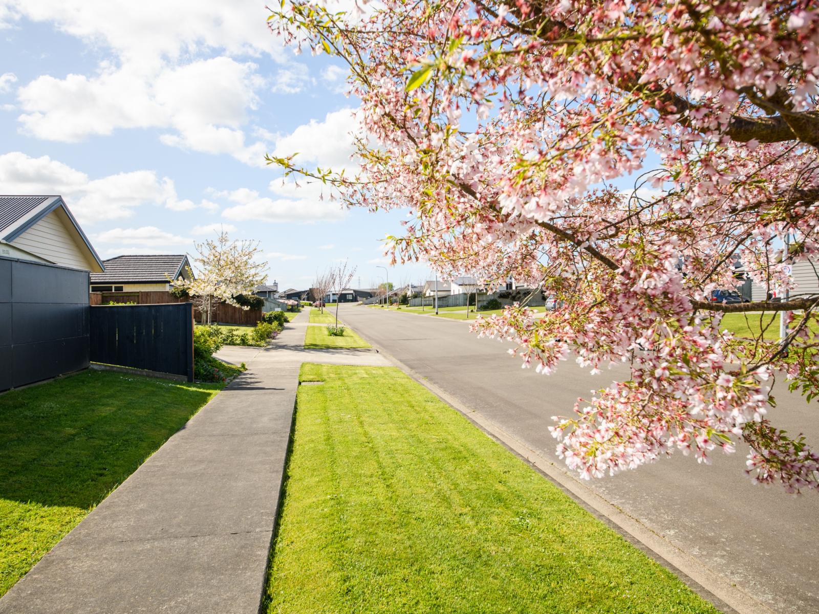 Feilding West