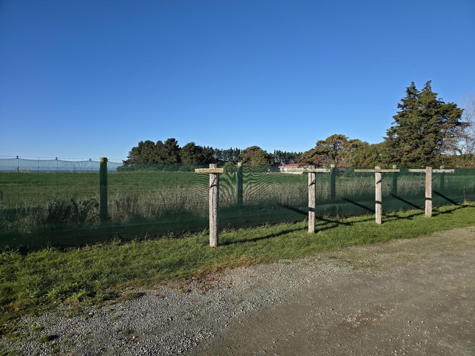 1A College Street, Oamaru North