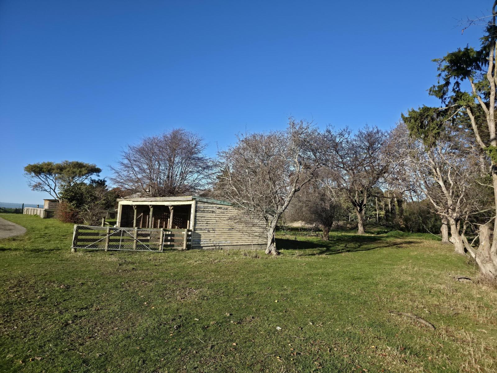 1A College Street, Oamaru North