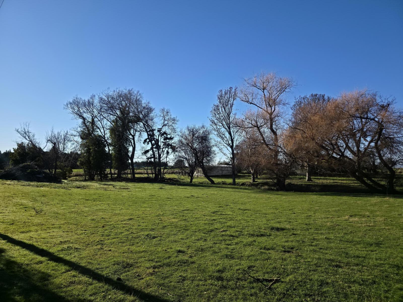 1A College Street, Oamaru North