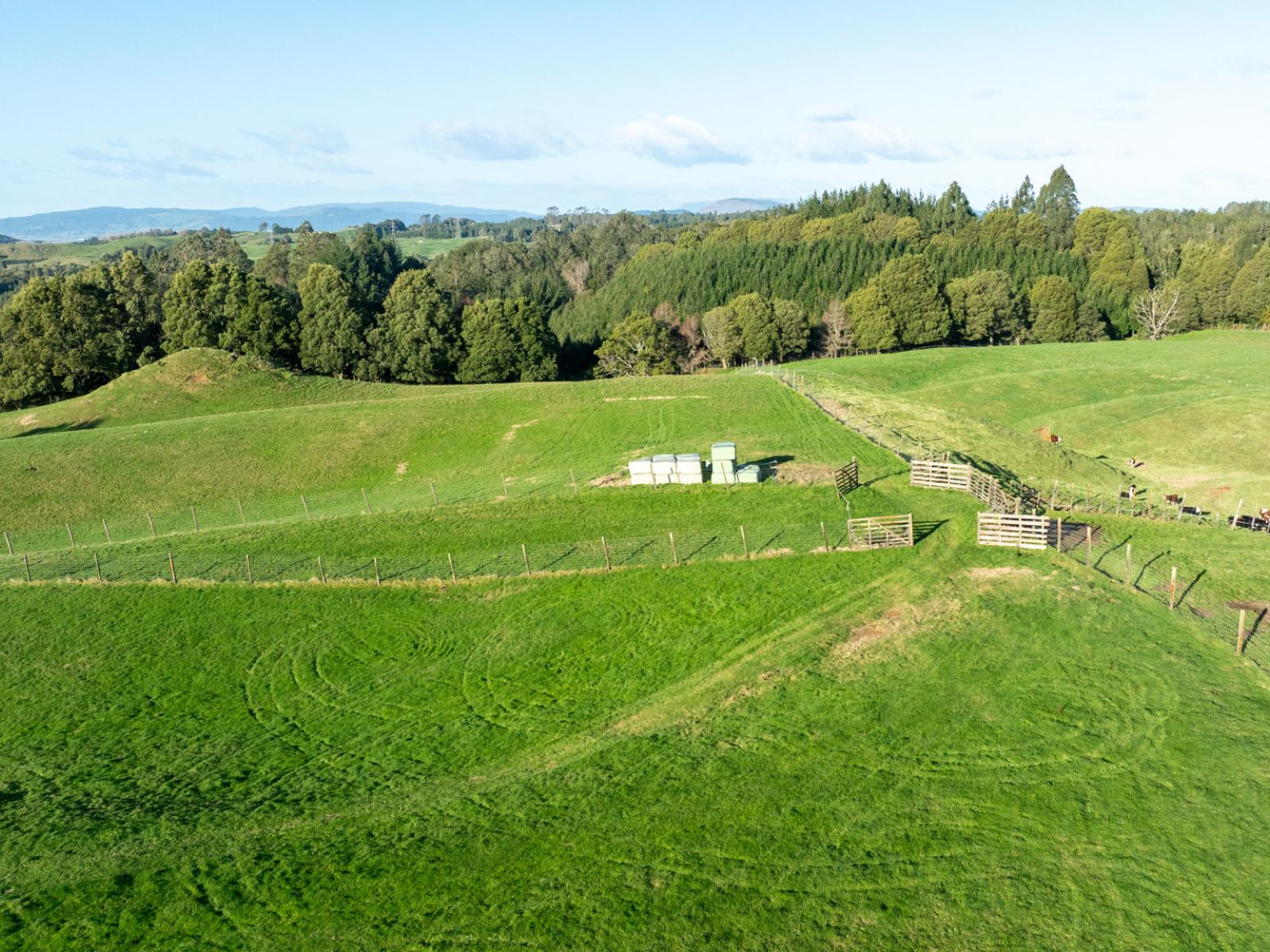 271 Endean Road, Ngongotaha Valley
