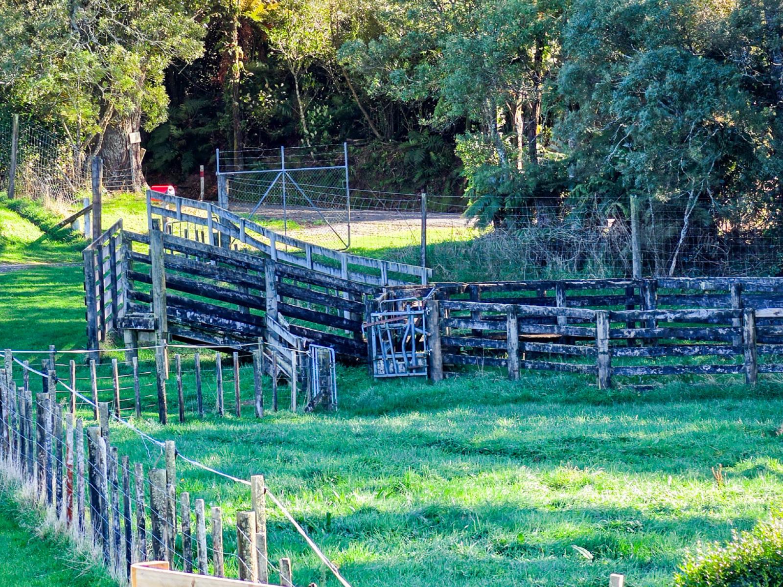 271 Endean Road, Ngongotaha Valley