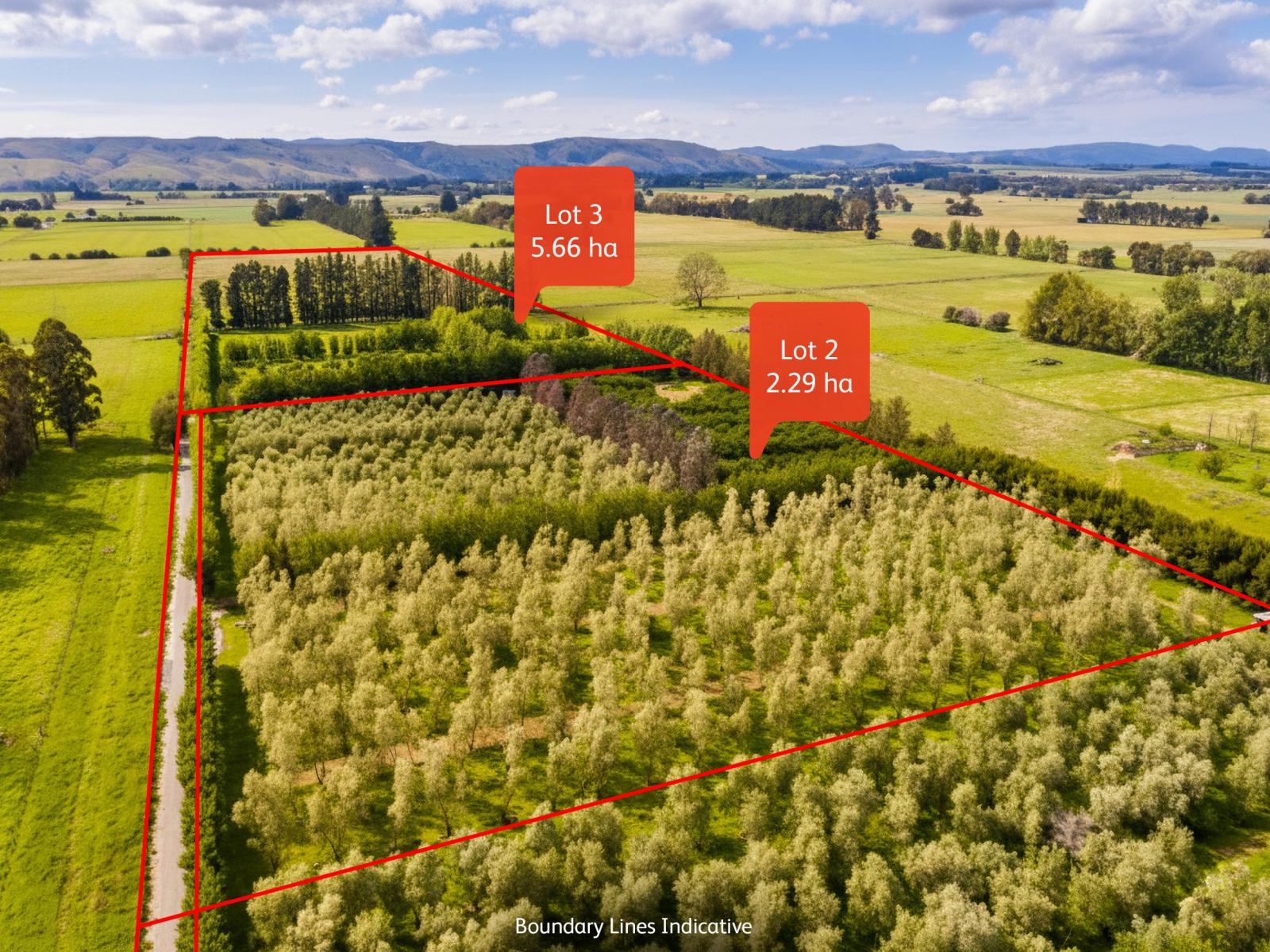 179 Bidwills Cutting Road, Greytown
