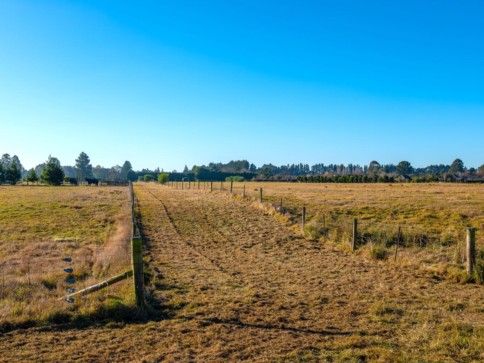 343 Halkett Road, West Melton