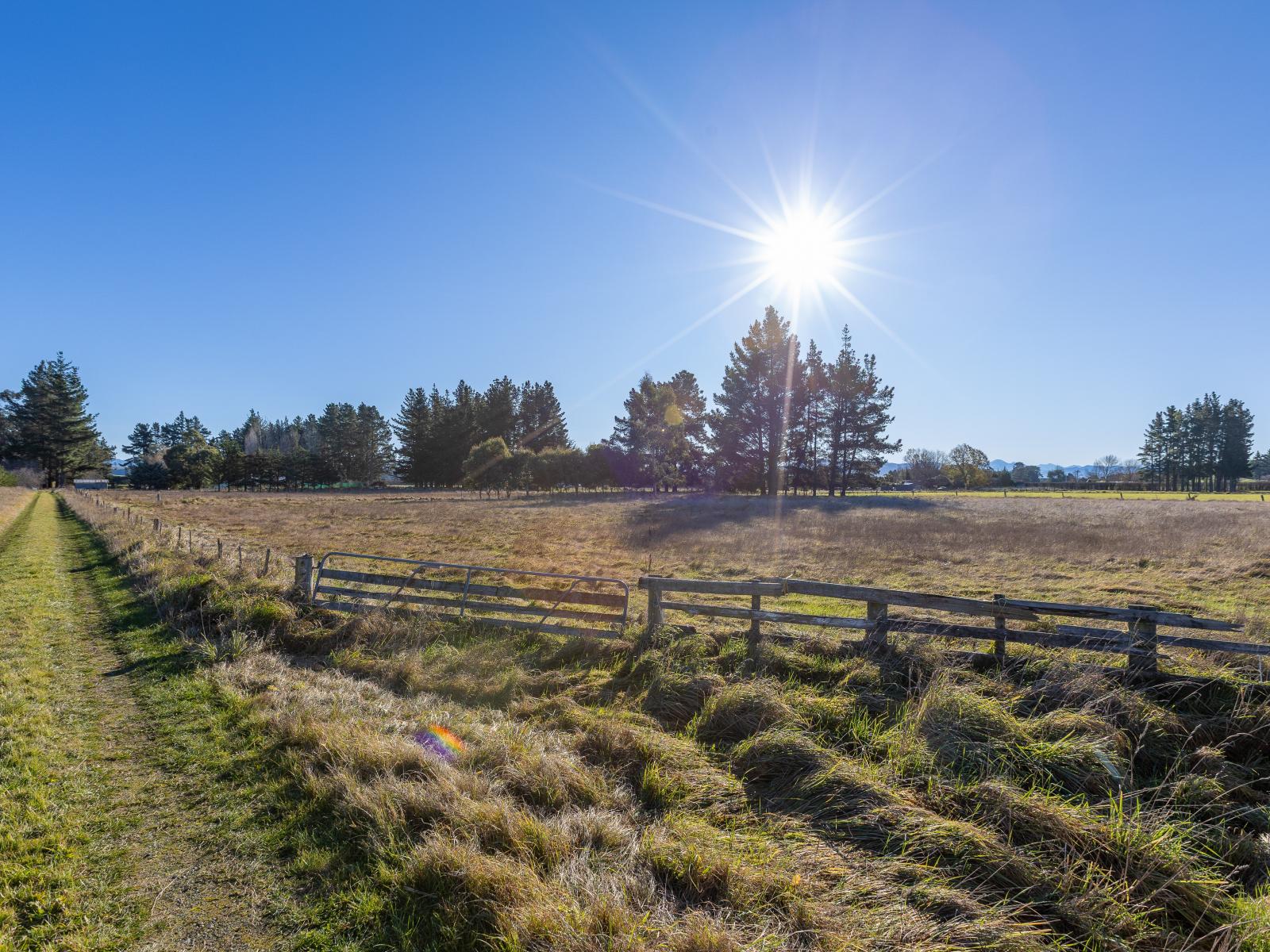 251 Homeview Road, Cheviot