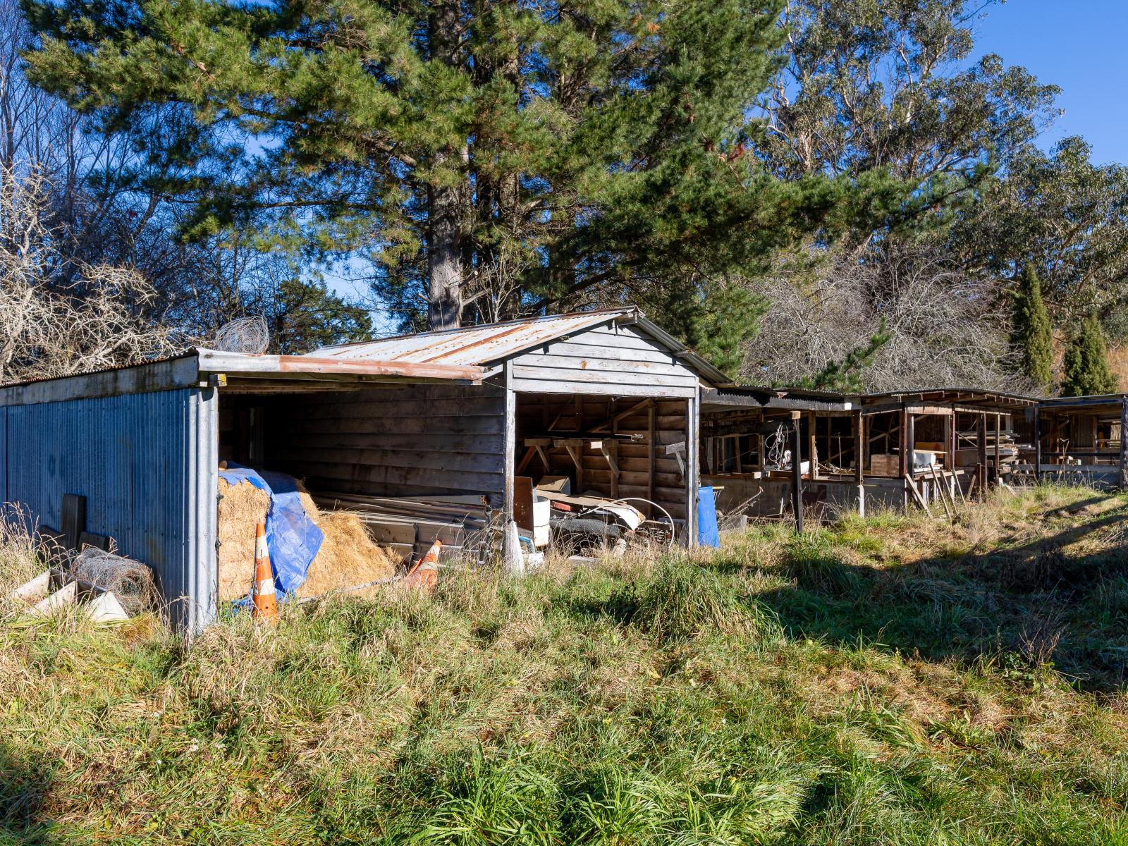 251 Homeview Road, Cheviot