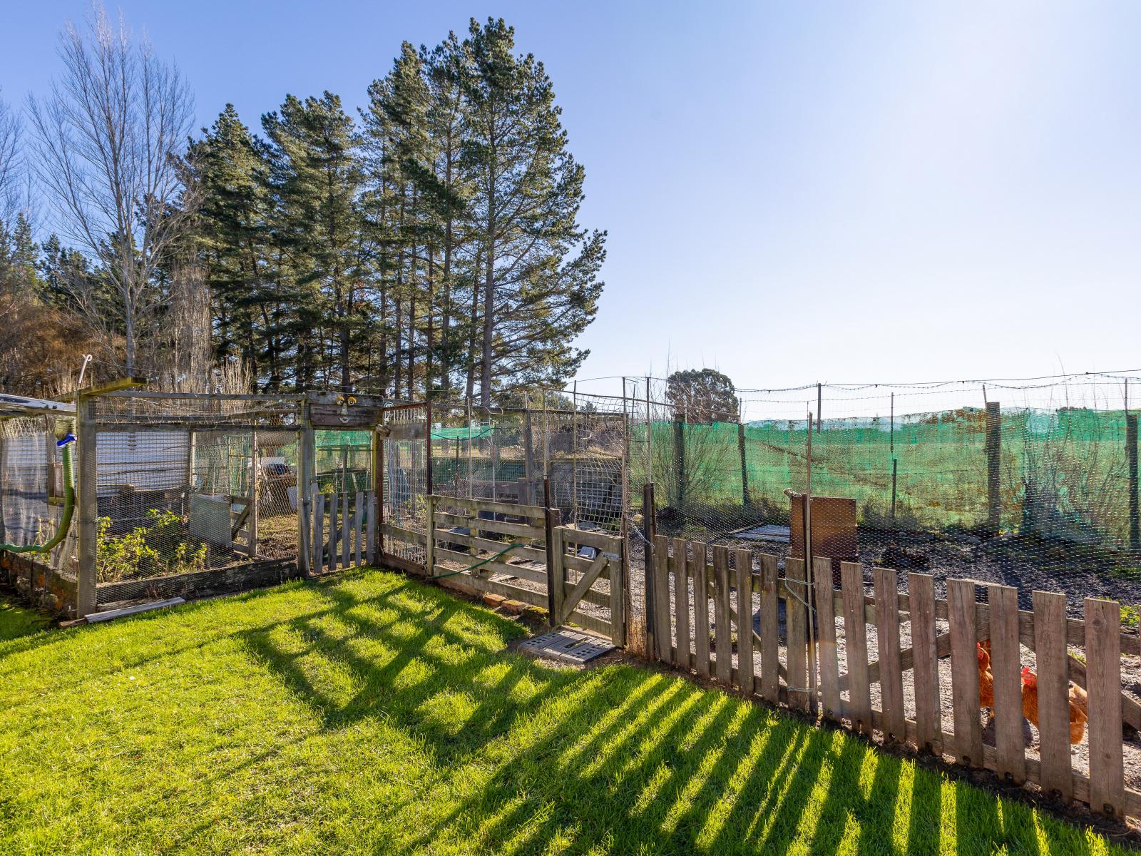 251 Homeview Road, Cheviot