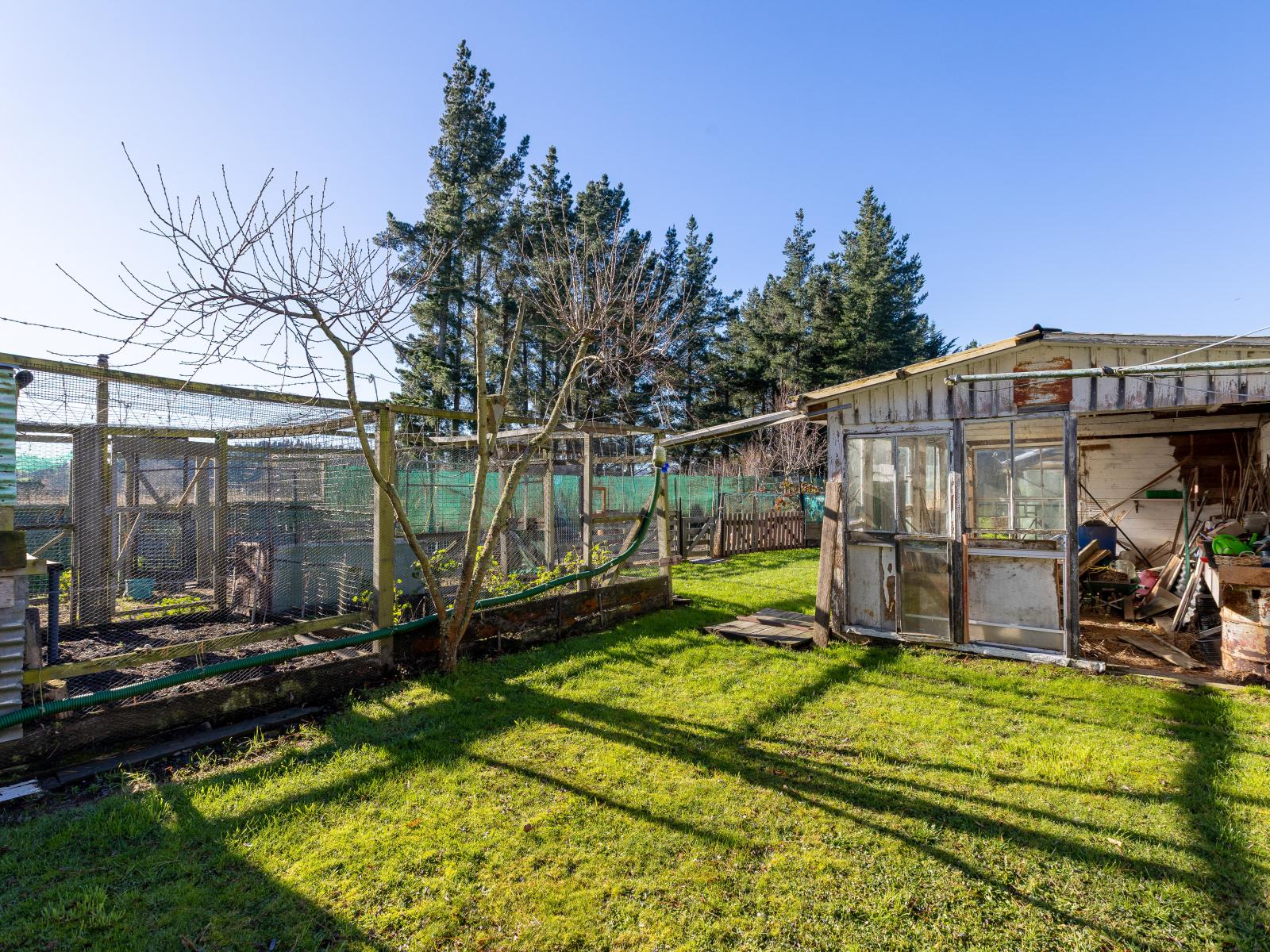 251 Homeview Road, Cheviot