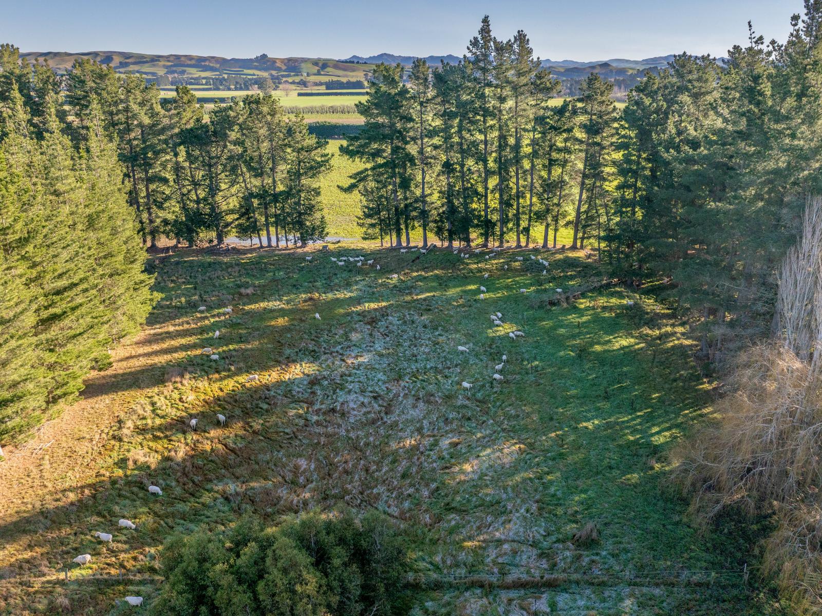 251 Homeview Road, Cheviot