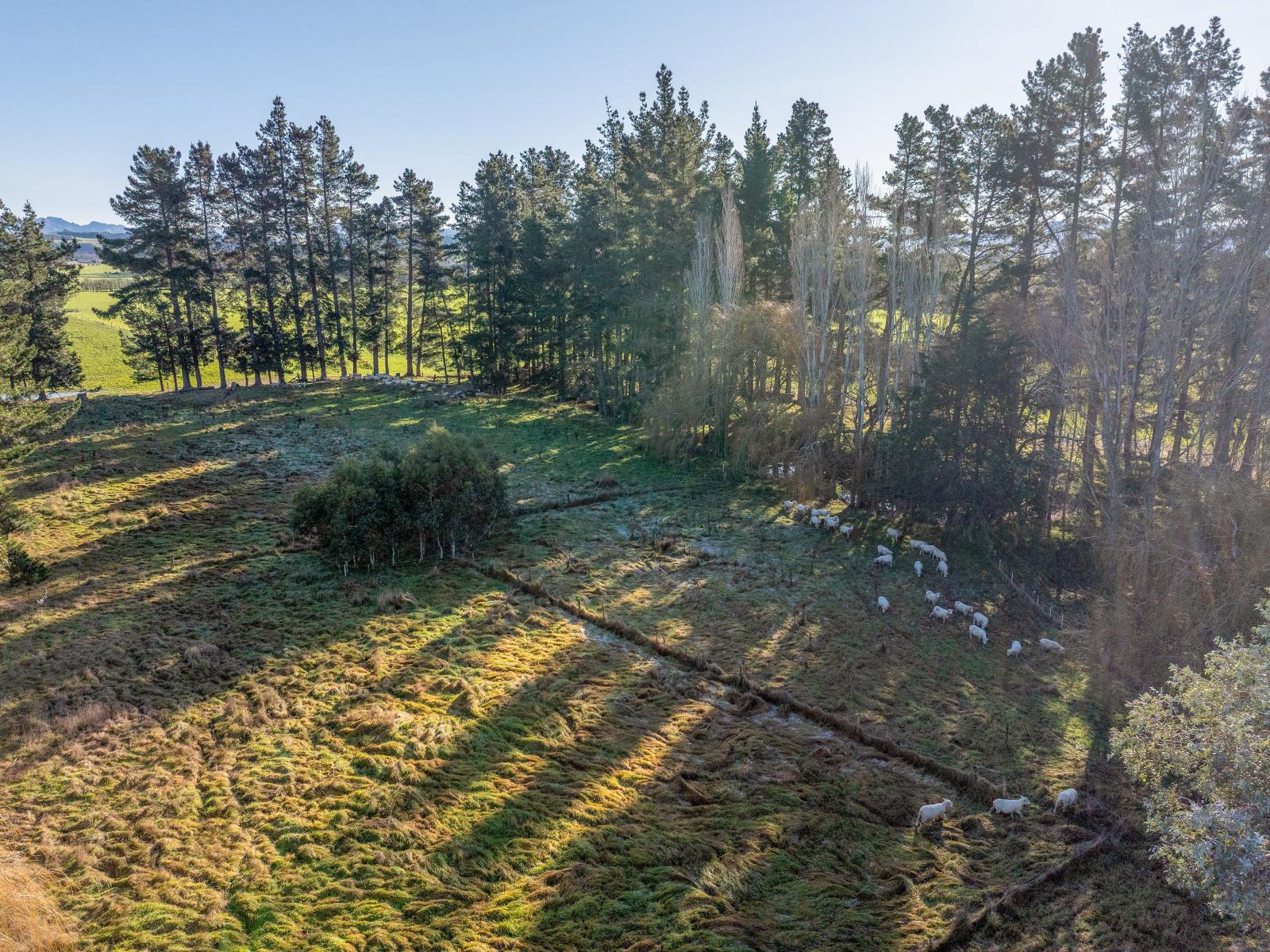 251 Homeview Road, Cheviot