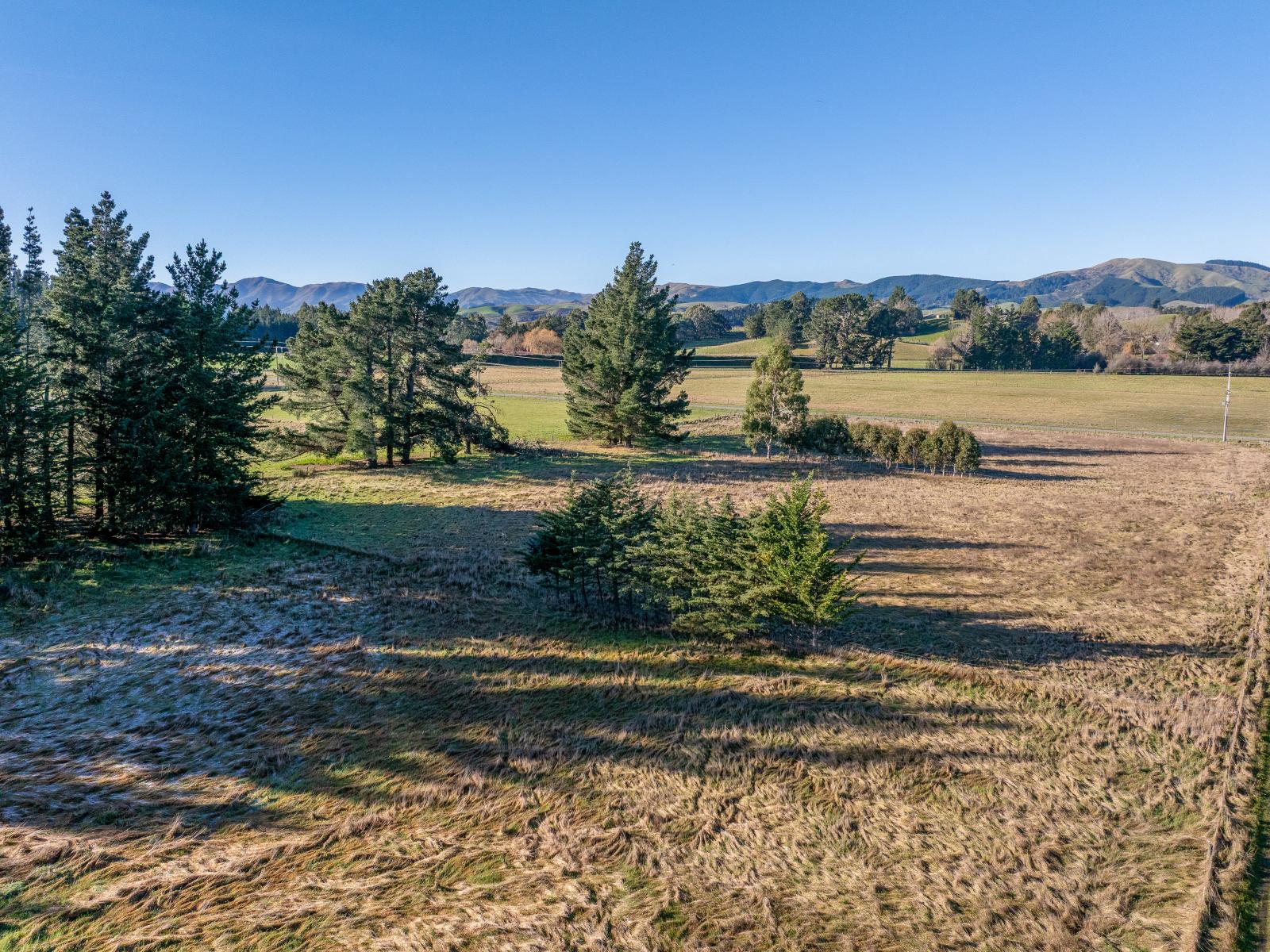 251 Homeview Road, Cheviot