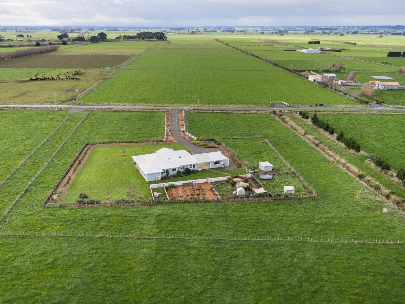 320 Kaimatarau Road, Rongotea