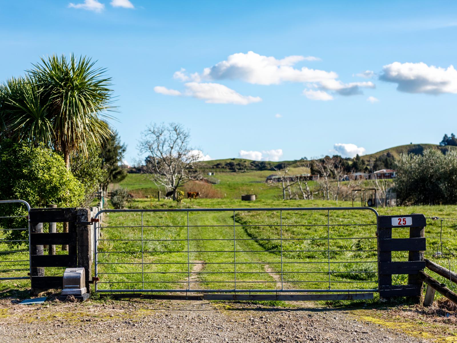 25 Lerwick Lane, Waimana