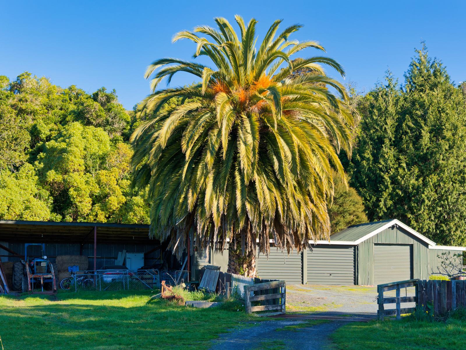 121 Lovers Lane, Kaikoura