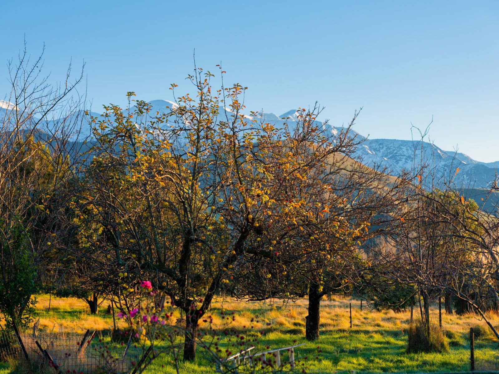 121 Lovers Lane, Kaikoura