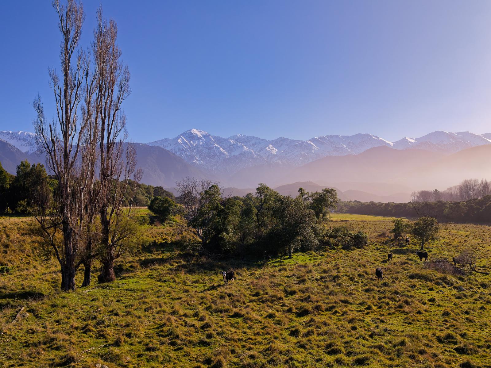 121 Lovers Lane, Kaikoura