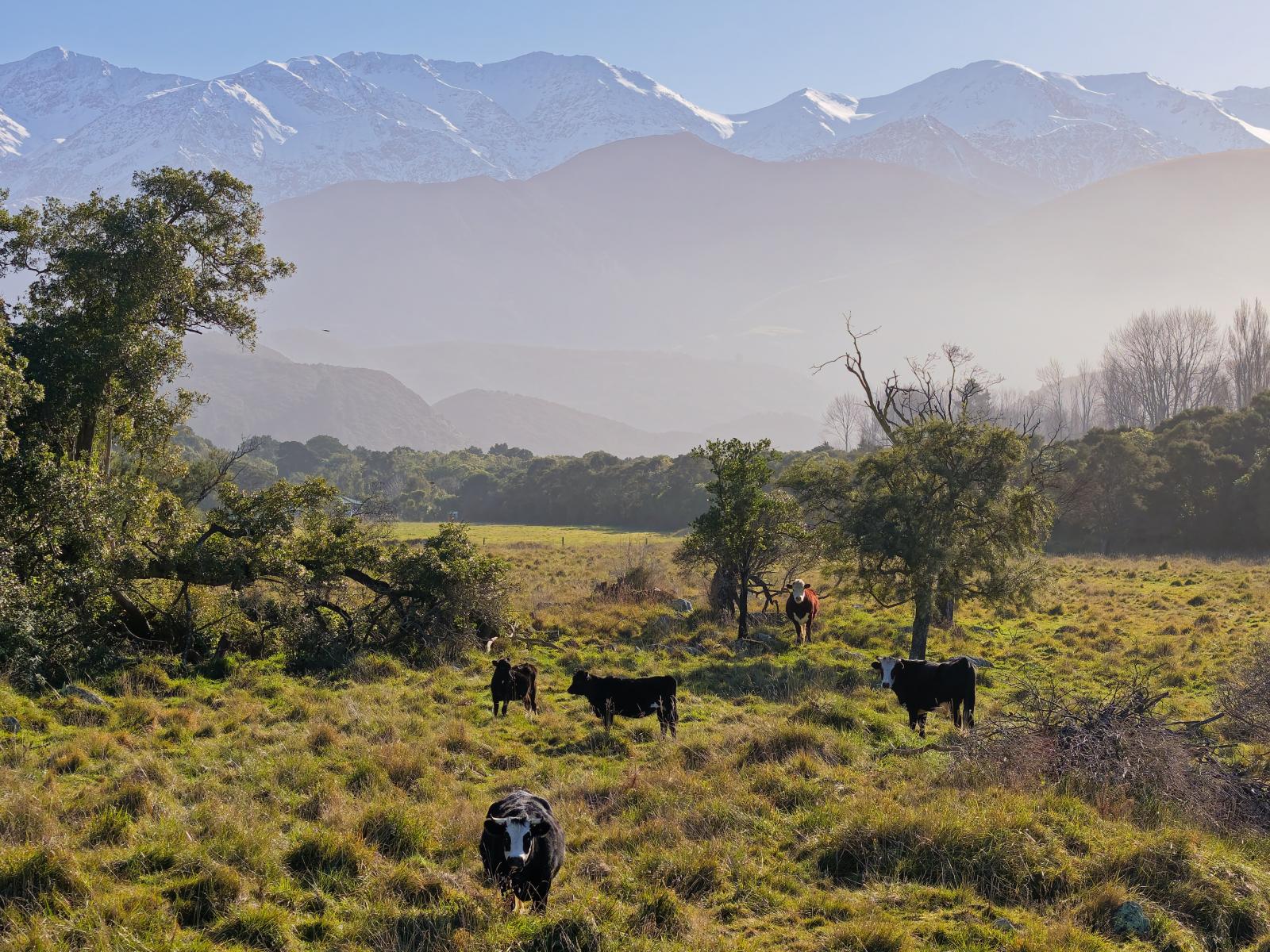 121 Lovers Lane, Kaikoura