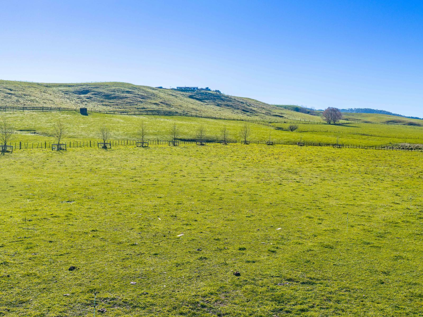 Lot 1 & 2, 221 Tapairu Road, Waipawa