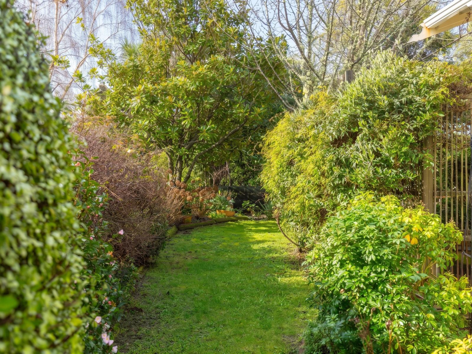 3 Yule Grove, Greytown