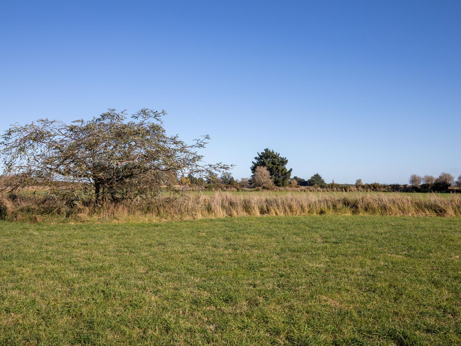 24 Kings Road, Leeston