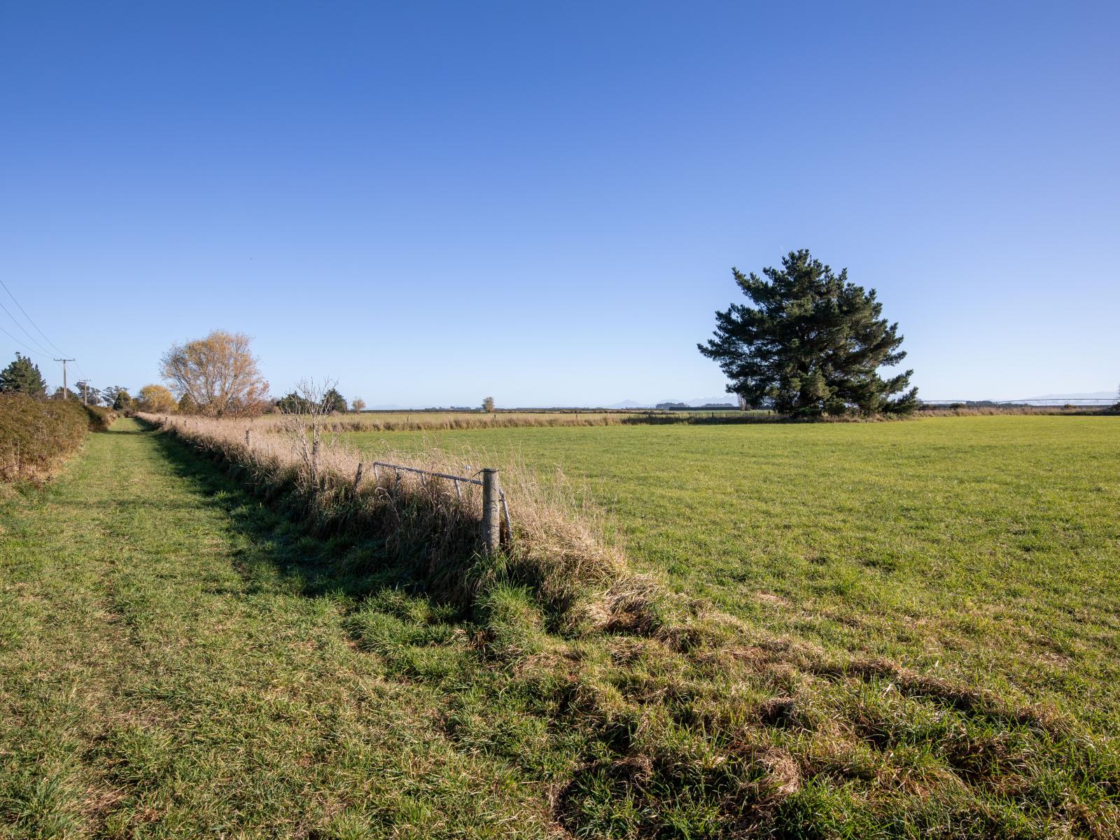 24 Kings Road, Leeston