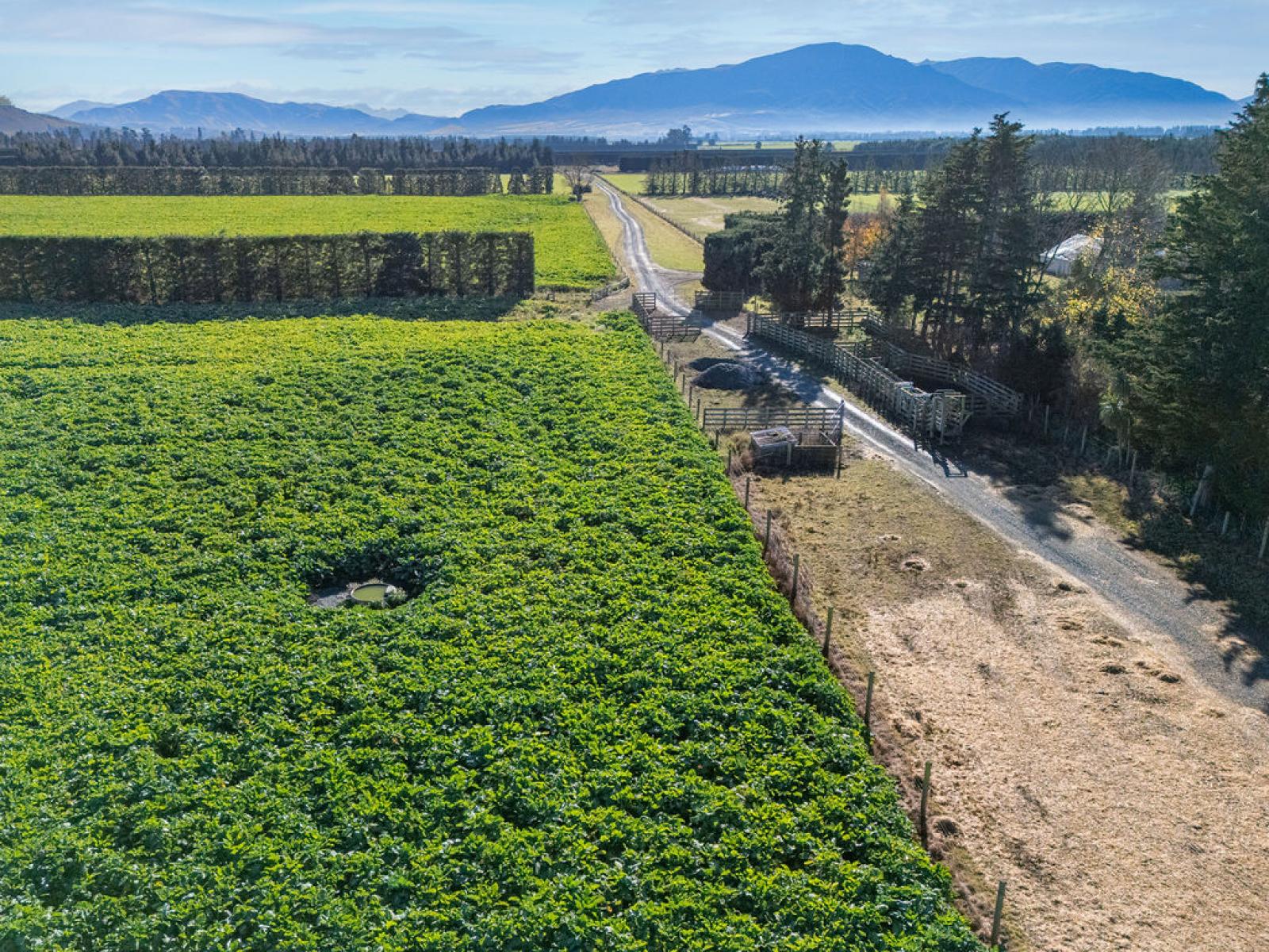 65 Anama Station Road, Mount Somers