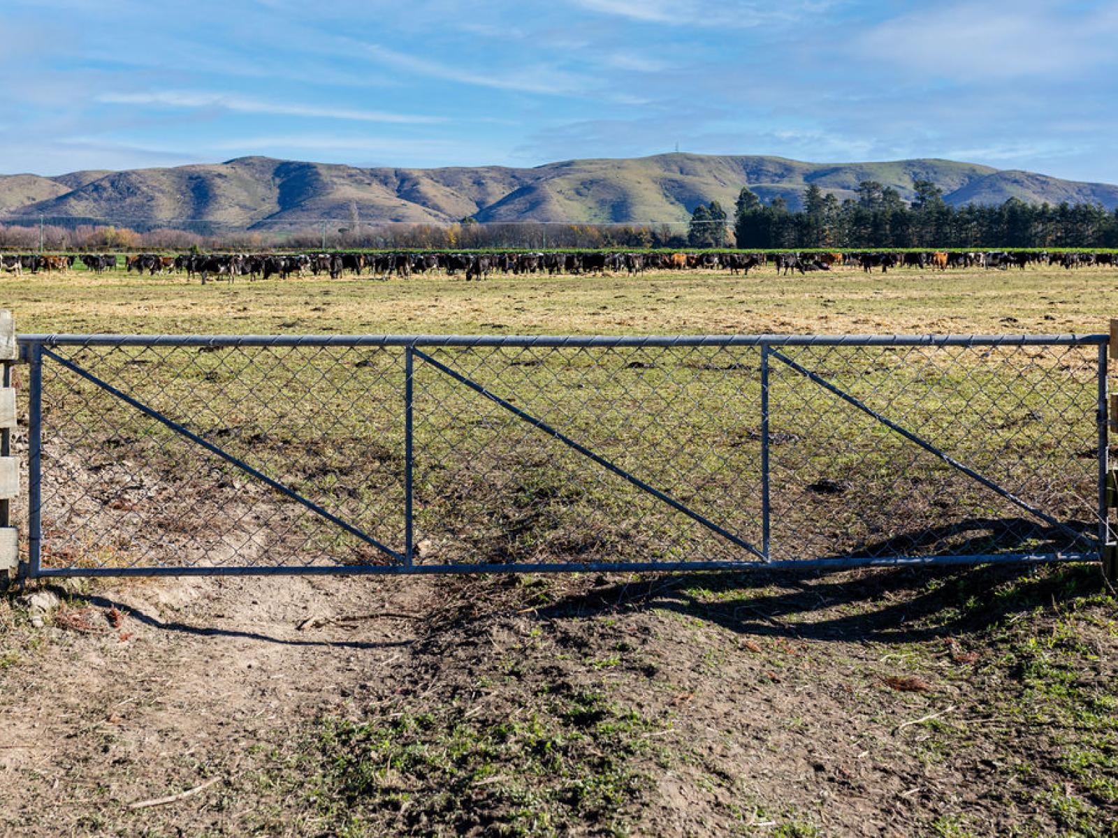 65 Anama Station Road, Mount Somers